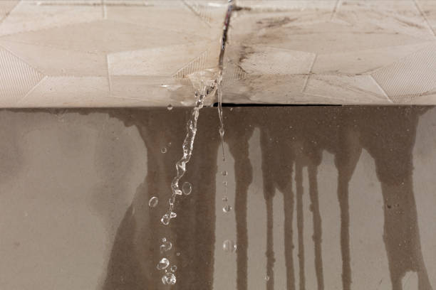 Professional Sewage Cleanup technician working in Hanceville, AL